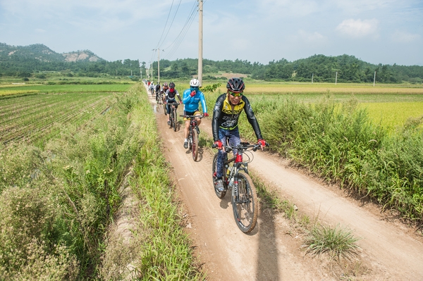 신안 ‘천도천색 천리길’ 총연장 500km 확대 개편..