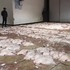 흑산홍어 대풍... 어민들은 한숨!..