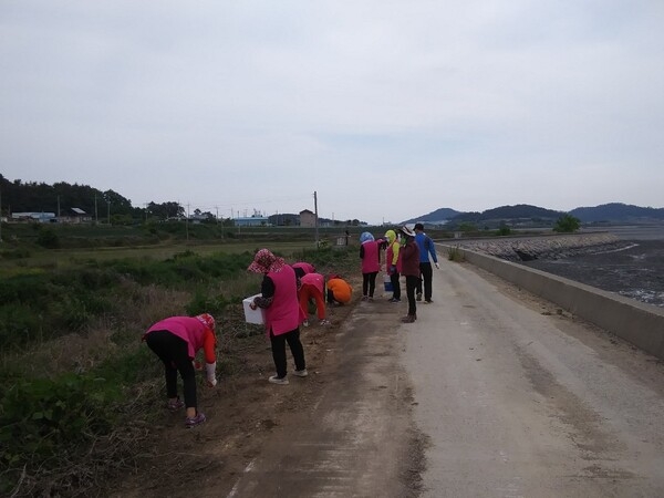 지도읍, 자전거길 꽃씨 심기 행사 가져..