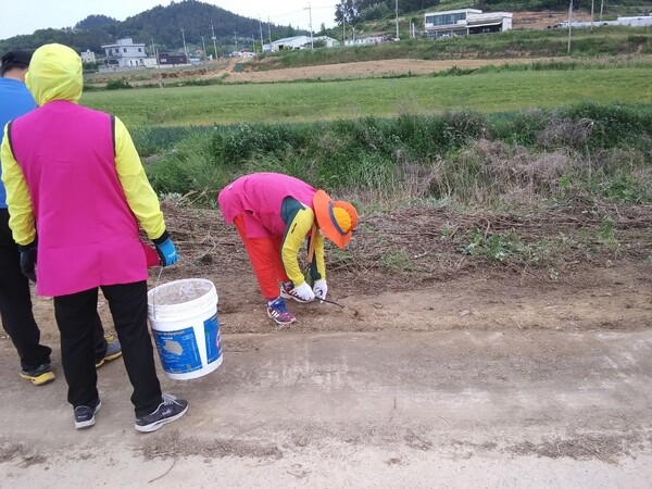 지도읍, 자전거길 꽃씨 심기 행사 가져..