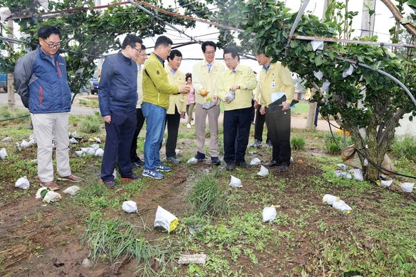 신안군, 태풍「링링」피해 신속 조사 및 복구총력   1