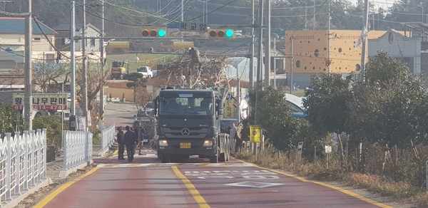 신안군 수령 200년 배롱나무 두 그루 기증 받아..