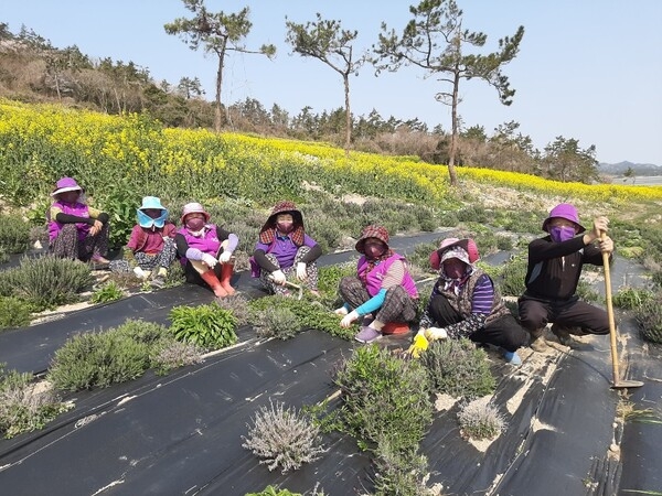 신안군여성단체협의회, “사랑의 보랏빛 마스크 제작․나눔” 4