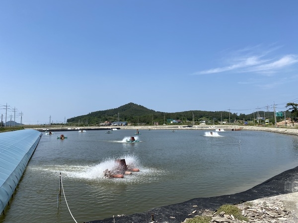 신안군! 친환경 왕새우양식을 위한 배출수 및 갯벌퇴적물 검사 실시 1