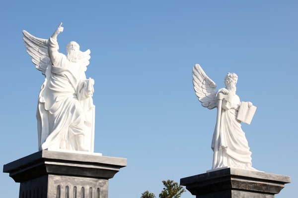 신안군, 바다 위에 피어난 맨드라미 꽃동산..