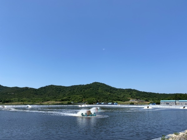 신안 왕새우! 국민의 안전한 대표 먹거리로 자리잡아..