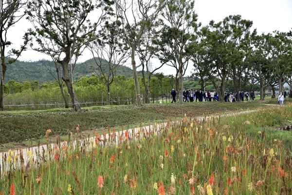 신안 도초도 팽나무 10리길‘환상의 정원’준공식 성료..'800만 송이 섬 수국 랜선 축제 10일간 개최' 3