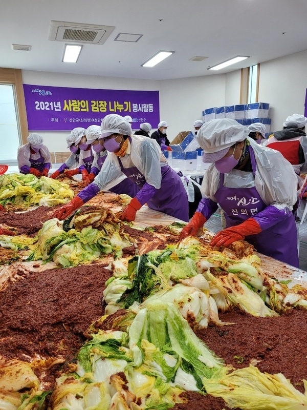 신안군, 신의도 명품 천일염으로 담근 김장 맛은 특별하다!..