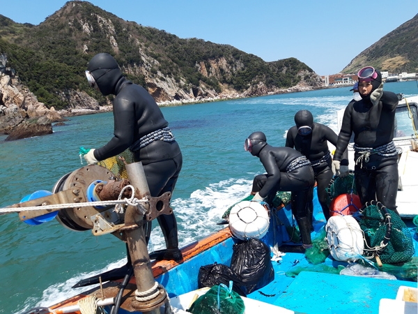 신안군, 청정 마을어장에 전복 21만마리 방류 2