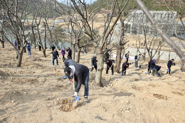 신안군 제78회 식목일 기념 나무심기 성료..