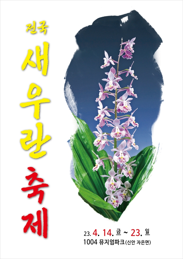 신안군 오색빛깔 30만송이 새우란(蘭)의 대향연..