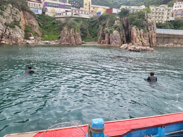 신안군, 청정해역에 어린 해삼 85만 마리 방류..