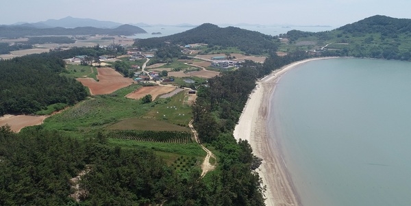 신안군, 1004섬 신안의 보물 ‘여인송 숲’ 보호를 위한 노력..