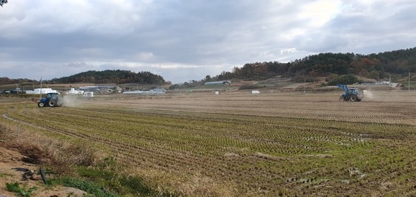 신안군, 압해읍농업경영인회 농지 토양 살리기 공동 참여..