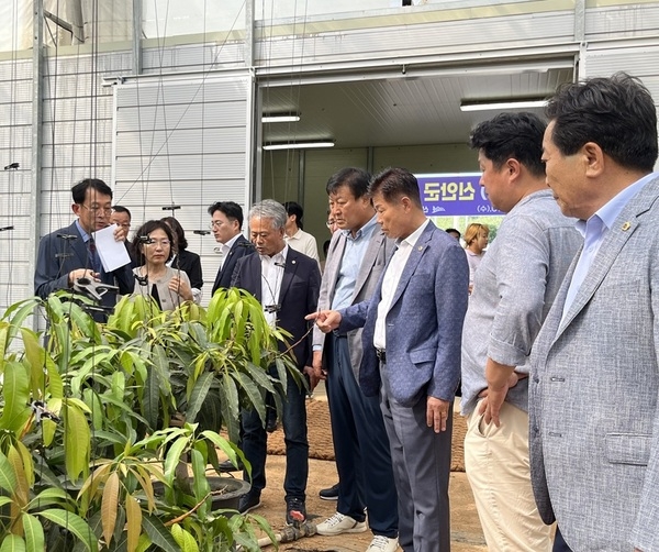 전남도의회 농수산위원회, 신안군 청년 경영실습 임대농장 현장 간담회 개최..'청년 농업인의 안정적 정착 지원을 위한 심도 있는 현장 소통' 2