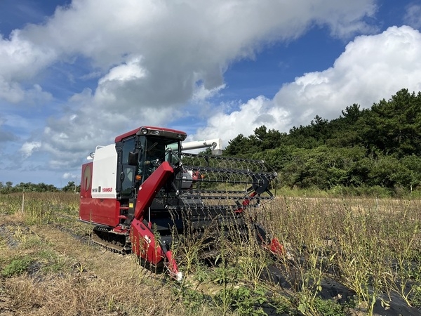 참깨도 이제 콤바인으로! 신안군 기계화 성공!..'16일 비금도에서 결과평가회 개최, 노동력 97% 절감효과' 3
