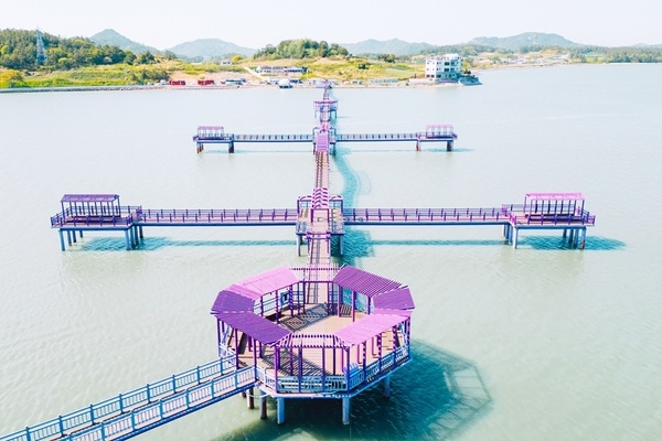 신안군, 주한 대사 부인 초청 ‘꽃 예술 전시회·예술섬 팸투어’ 개최..'국제꽃장식대회의 서막, 12개국 대사 부인과 함께 신안 예술섬 세계로' 4