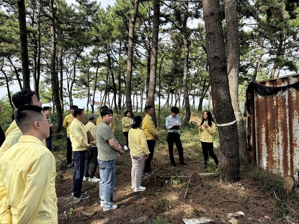 신안군 자은도, 소나무재선충병 발생 2