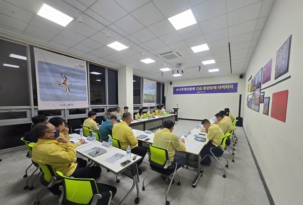 신안군 자은도, 소나무재선충병 발생 1