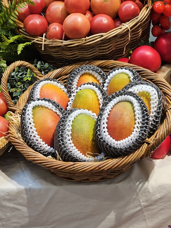 신안군, 2025년 하반기 고향사랑기부제 답례품 대폭 확대 2