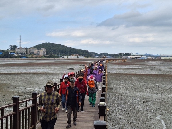 신안군, 지도읍 삼암산 등산·걷기 대회 성황리 개최 3