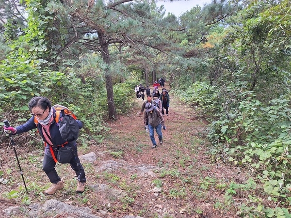 신안군, 지도읍 삼암산 등산·걷기 대회 성황리 개최 4