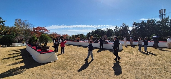 2025 ABFF 컨벤션&대한민국 분재 대전 성황리 폐막..