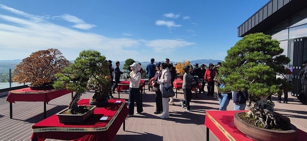 2025 ABFF 컨벤션&대한민국 분재 대전 성황리 폐막..