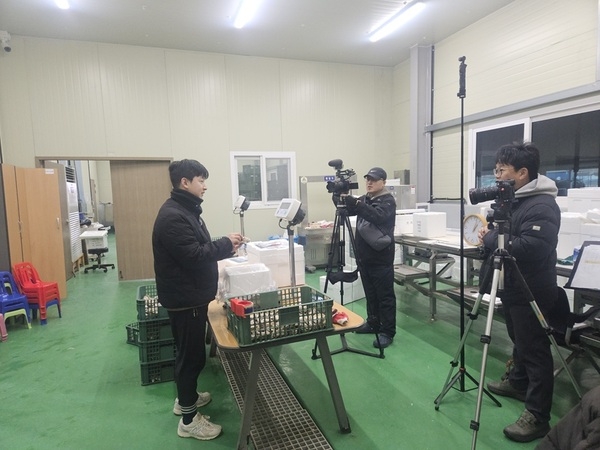 신안‘1004굴’홍콩 수출 본격화…K-굴 세계시장 진입 신호탄..