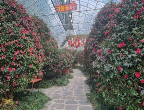 신안군, 제15회 정원관리부서장 협력회의 개최..'1섬 1정원의 체계적 관리와 2026년 꽃축제 성공 개최를 위한 전략 모색' 1