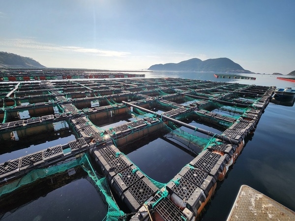 신안군, 설맞이 전복 직거래 행사로 어가 지원 및 지역 경제 활성화..