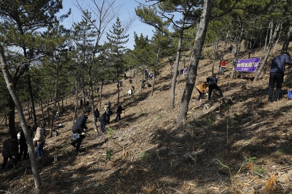 신안군, 제81회 식목일 기념 나무심기 행사 개최..