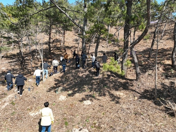 신안군, 제81회 식목일 기념 나무심기 행사 개최..