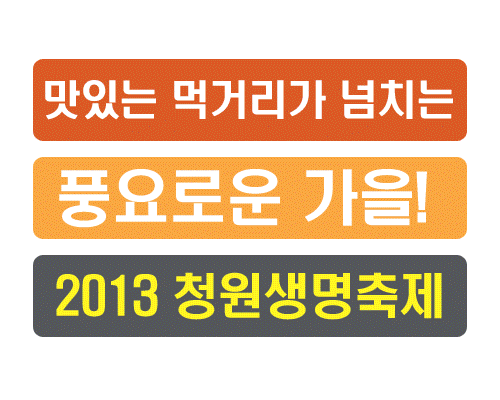 2013 청원생명축제  1