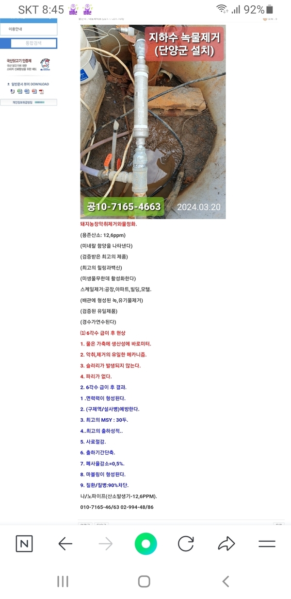 돼지에게6각수급이후현상. 1