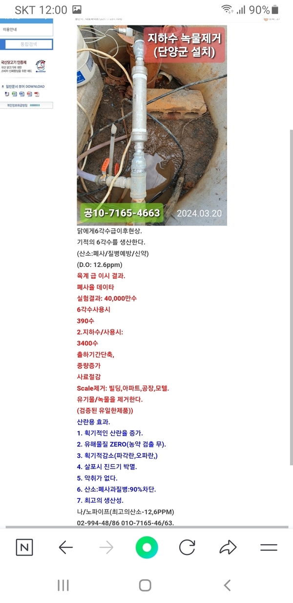 양계장뉴스 1