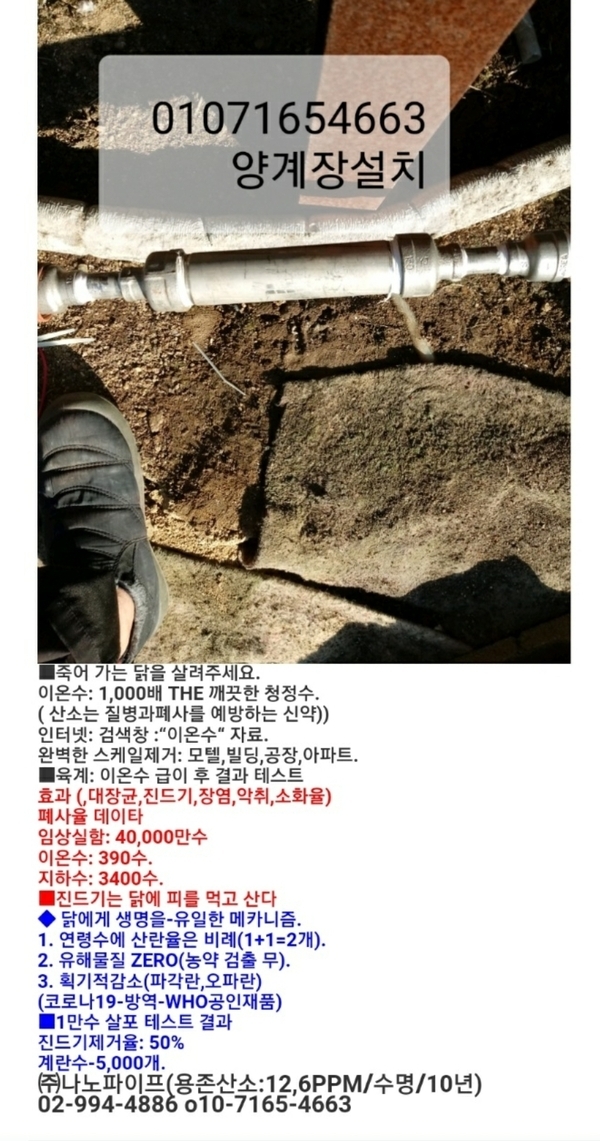양계장진드기 1