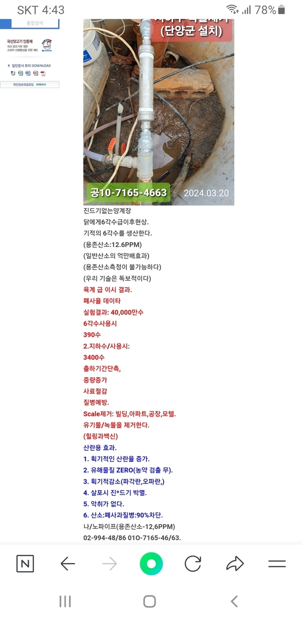 양계장뉴스 1