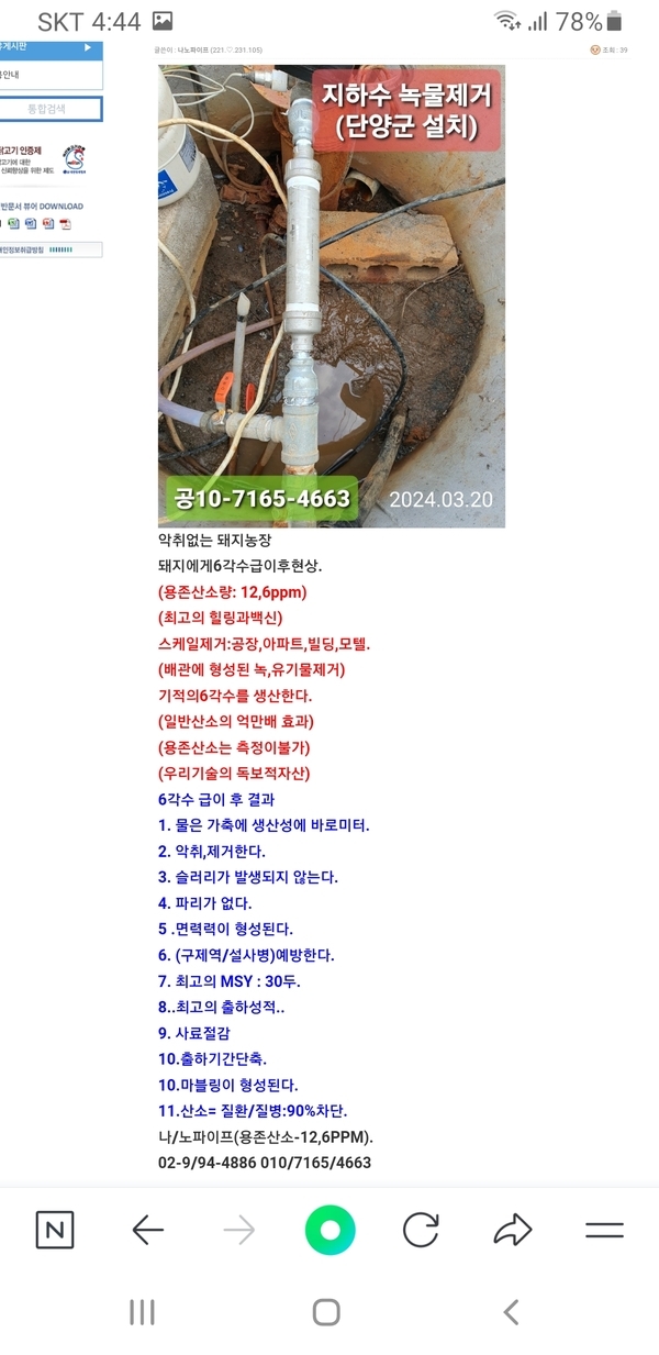 돼지농장악취 1